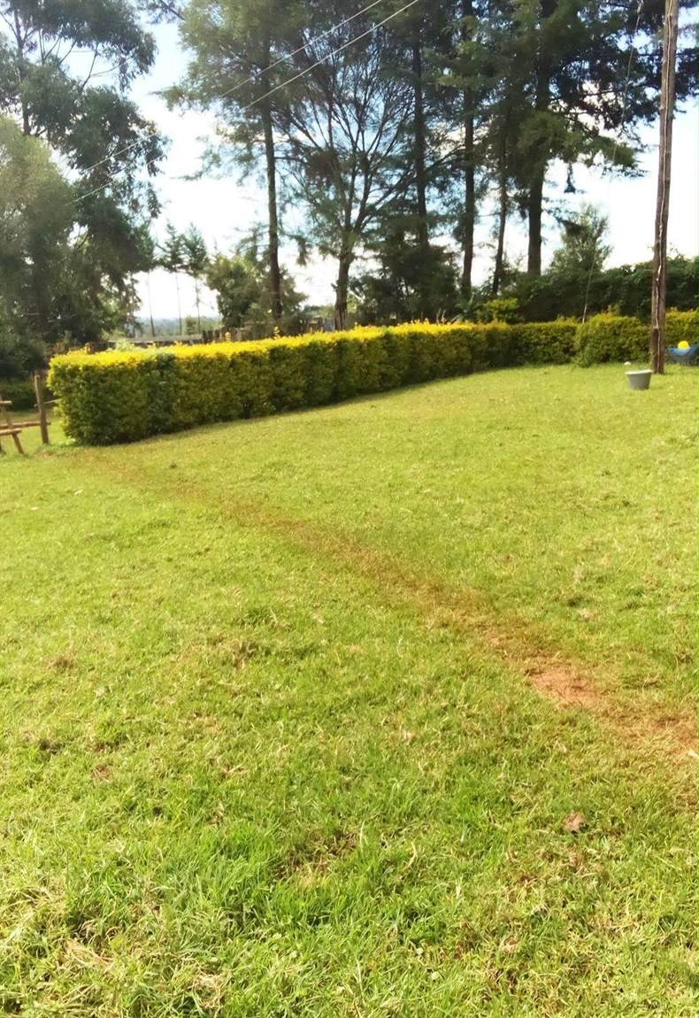Open green lawns bordered by a trimmed hedge on the compound
